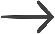 Seta
